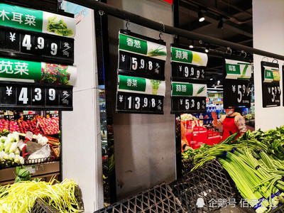 透視蔬菜漲價背后 從城市菜比肉貴到返鄉種菜潮