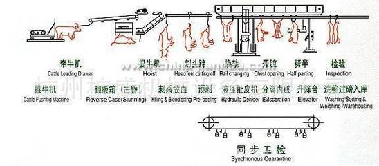模塊化移動(dòng)屠宰車(chē) 引領(lǐng)屠宰設(shè)備新變革